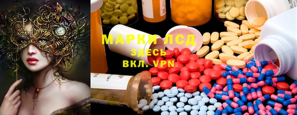 гидра Липки