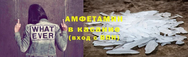 индика Верхний Тагил