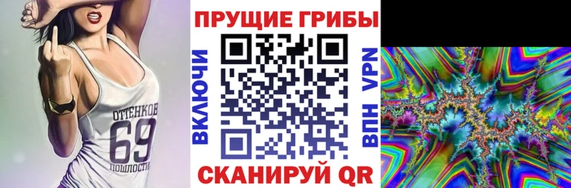 Галлюциногенные грибы Psilocybe  купить наркоту  Нюрба 